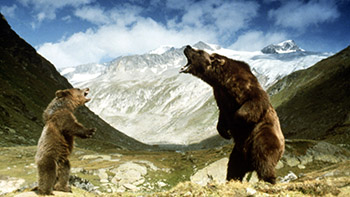 Illustration for article titled 35 Harrowing Man Vs Nature Movies, Ranked